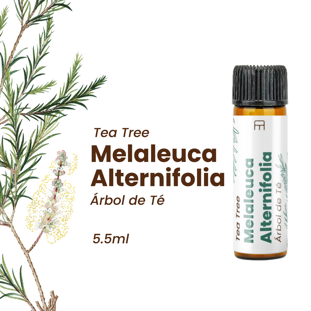 Tea Tree Essential Oil (5.5 ml)