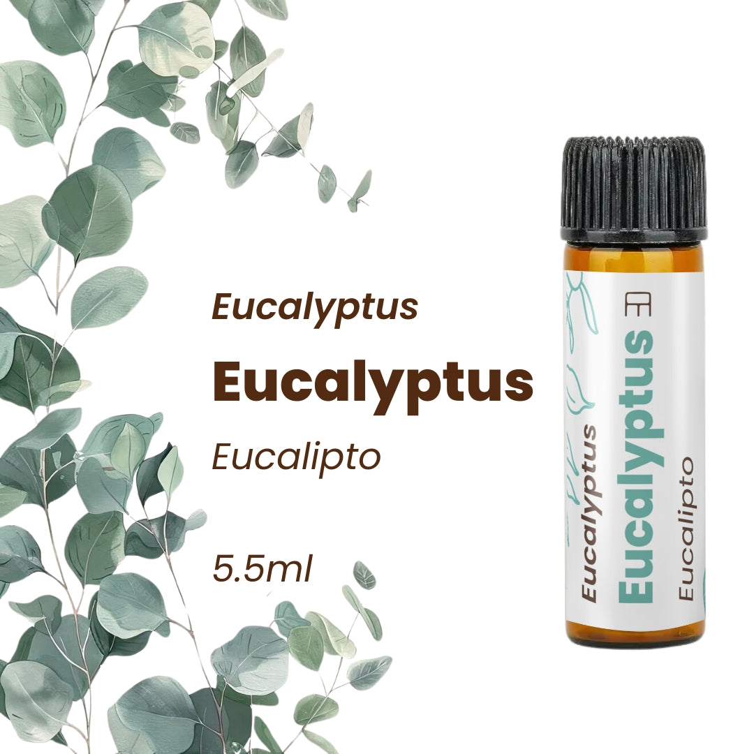 100% Pure Eucalyptus Essential Oil 5.5ml