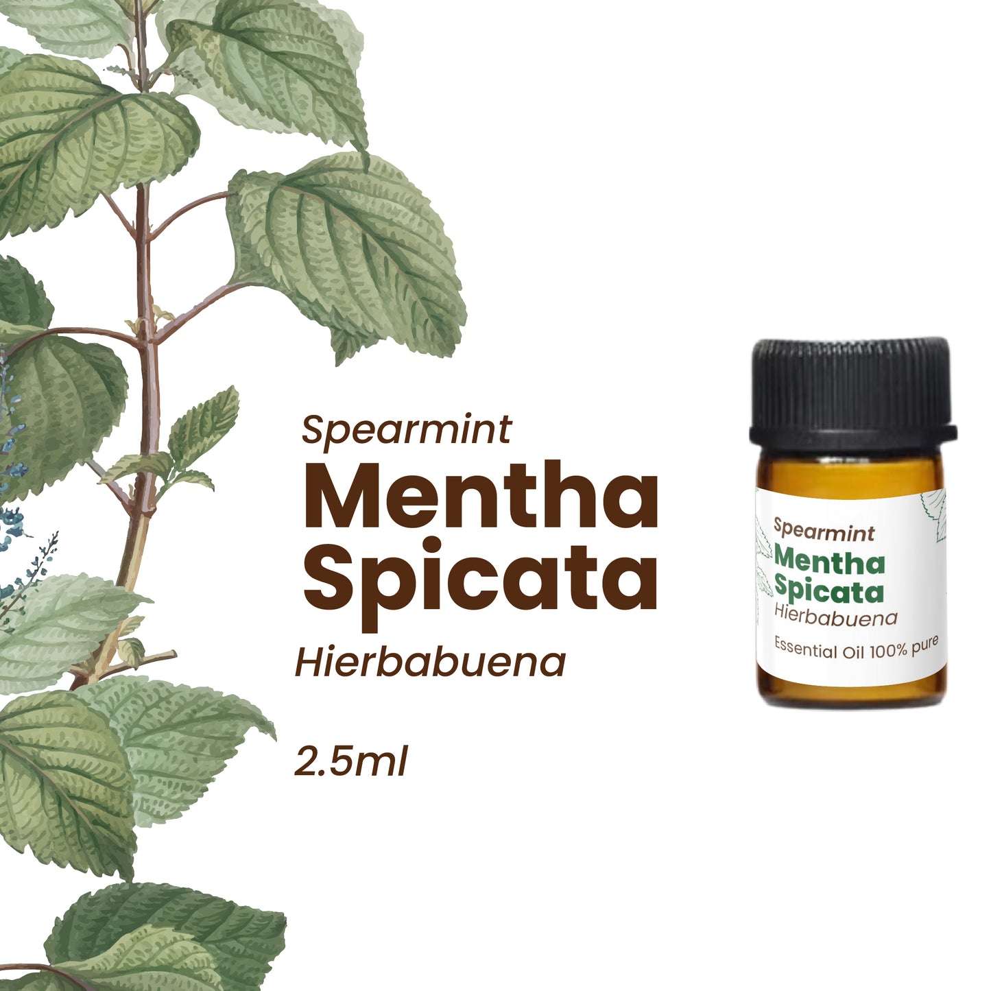 100% Pure Essential Oils Kit 5 Aromas – Sweet Spice 12.5 ml