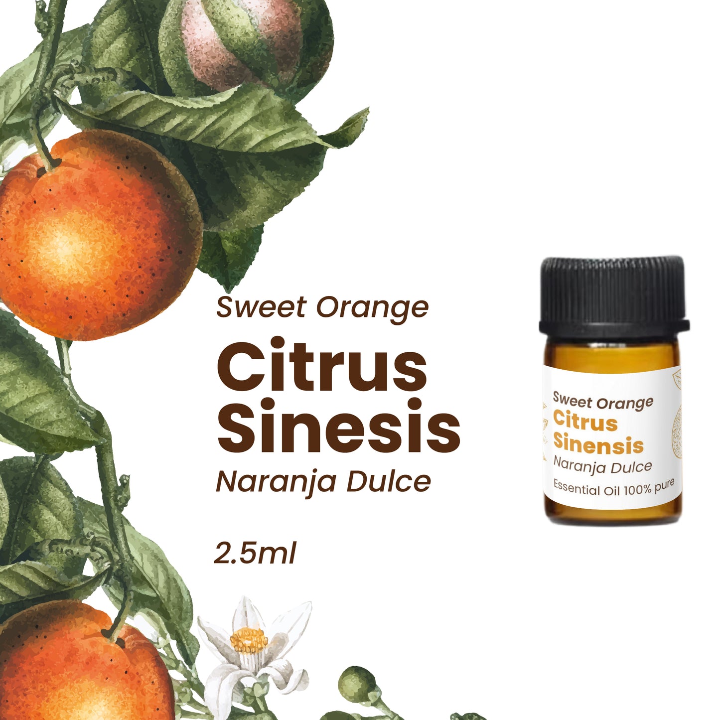 100% Pure Essential Oils Kit 5 Aromas – Sweet Spice 12.5 ml
