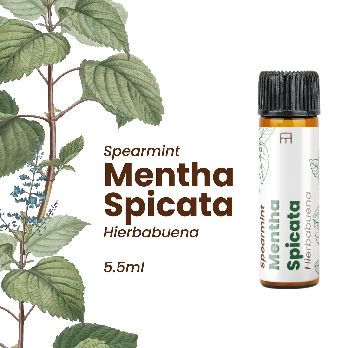 100% Pure Spearmint Essential Oil 5.5ml
