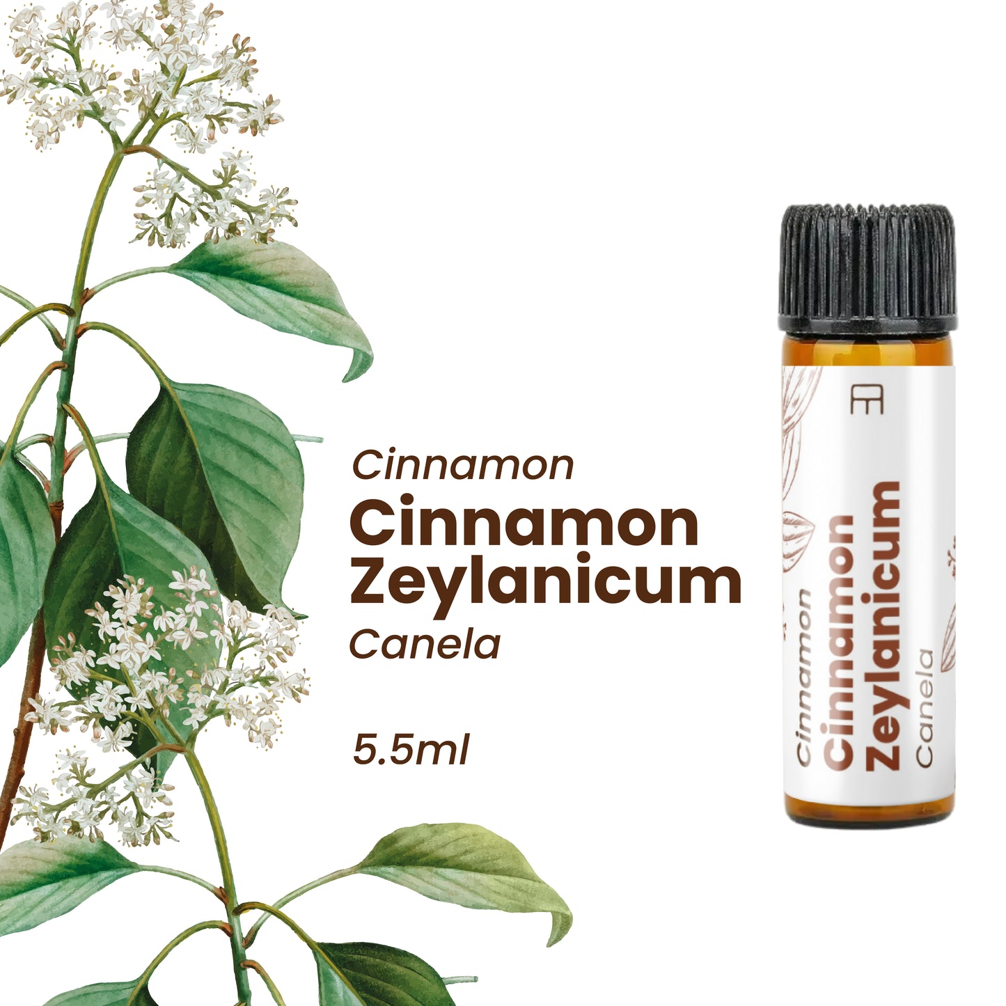 100% Pure Cinnamon Essential Oil 5.5 ml