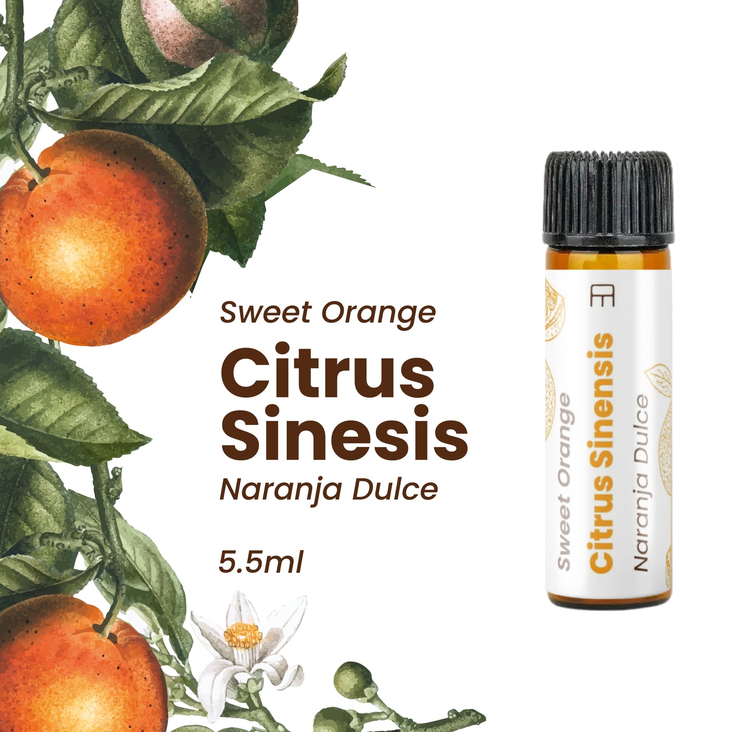 100% Pure Sweet Orange Essential Oil 5.5 ml