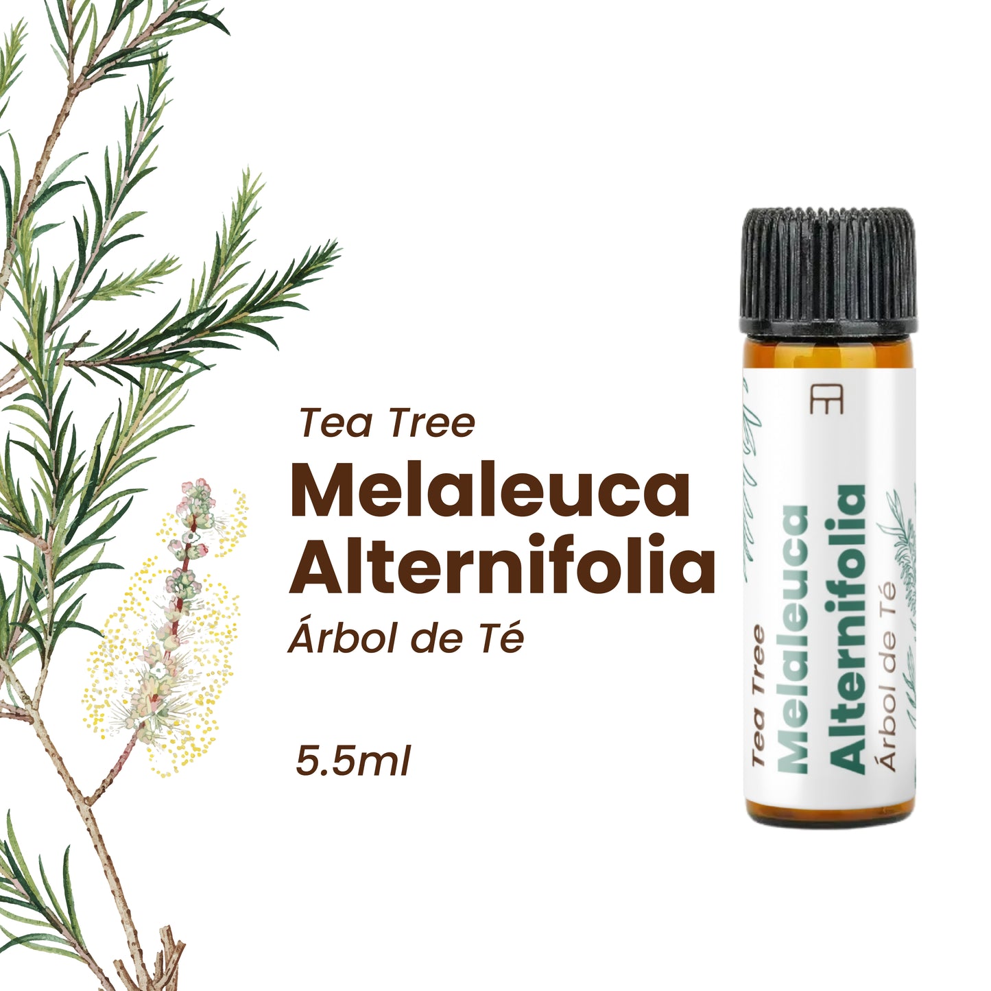 100% Pure Tea Tree Essential Oil 5.5 ml