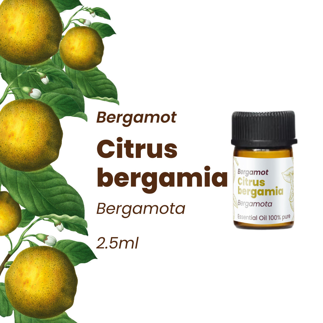 100% Pure Essential Oils Kit (Set of 5) 12.5 ml