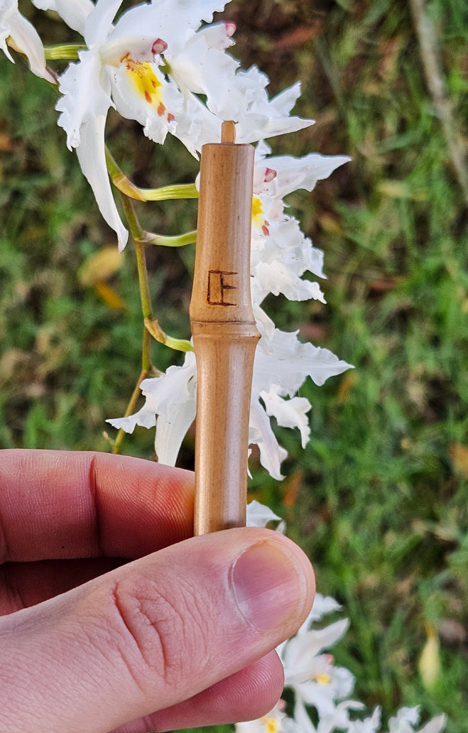 PIA aroma | Personal Diffuser for Essential Oils – PIA Aroma