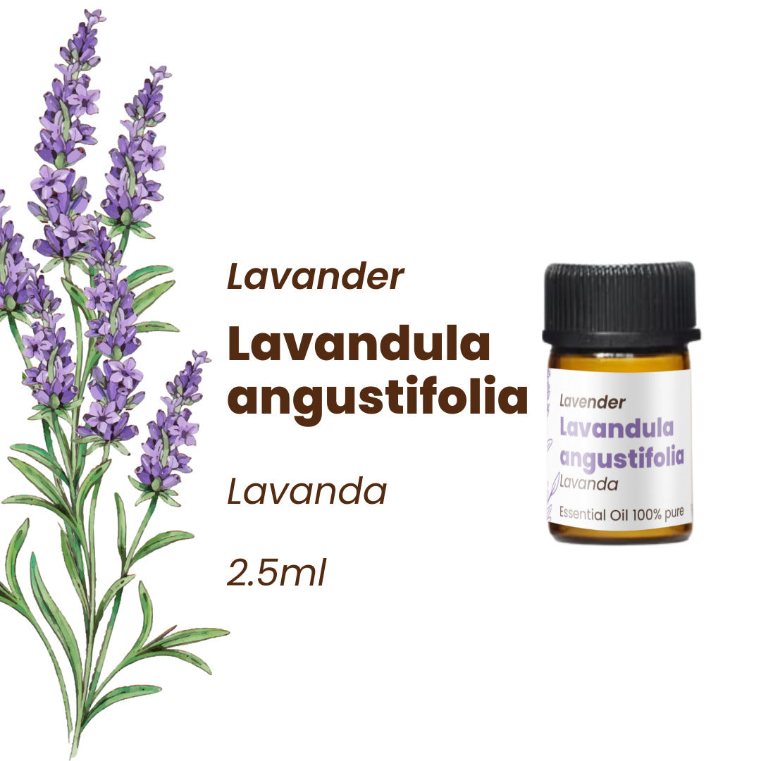 100% Pure Essential Oils Kit (Set of 5) 12.5 ml