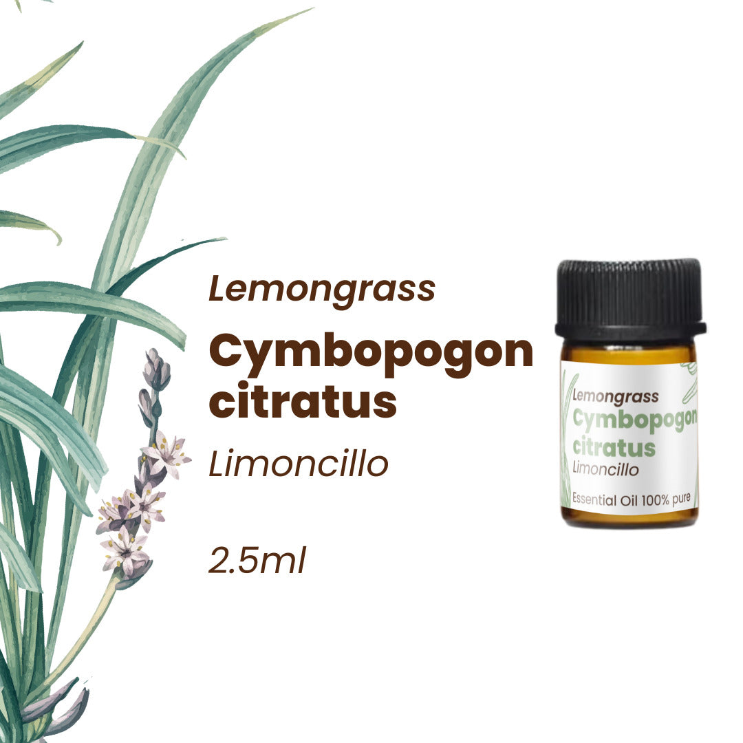 100% Pure Essential Oils Kit (Set of 5) 12.5 ml