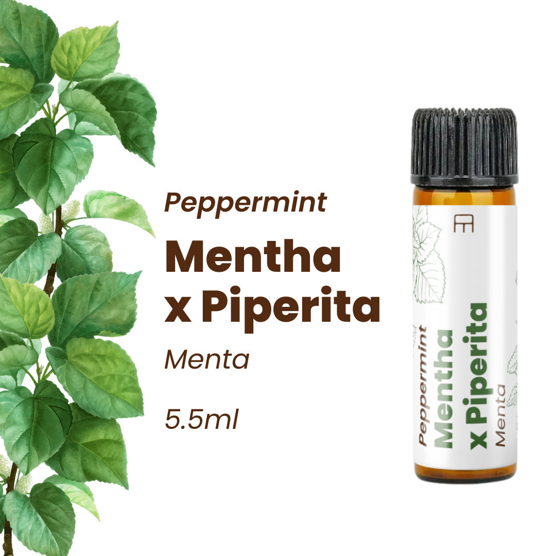 100% Pure Peppermint Essential Oil 5.5ml