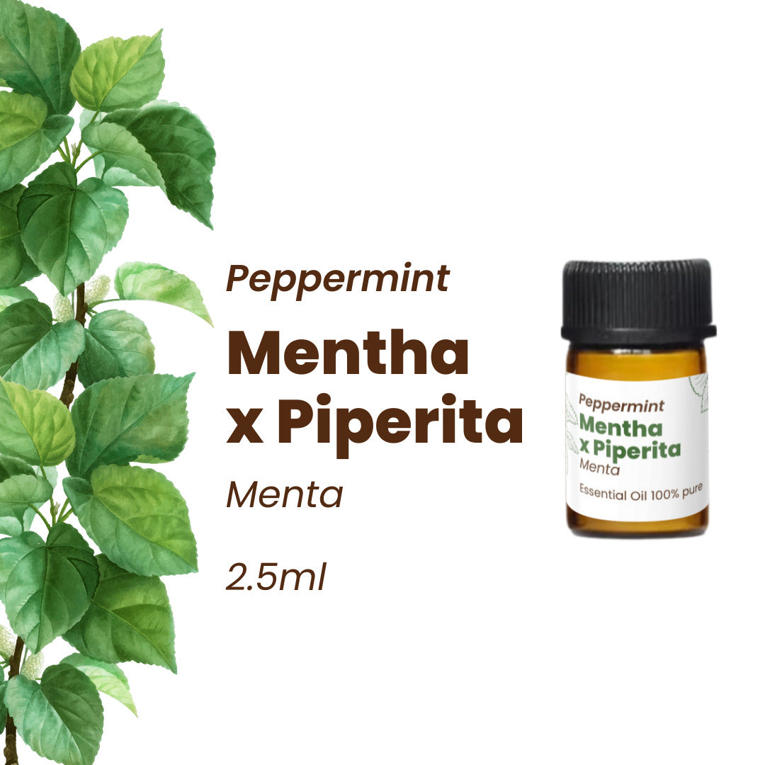 100% Pure Essential Oils Kit (Set of 5) 12.5 ml