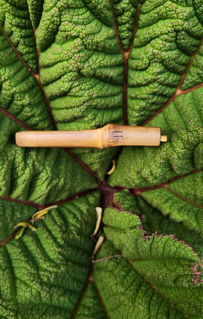 PIA aroma | Personal Diffuser for Essential Oils – PIA Aroma