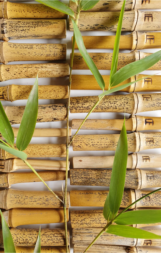 PIA aroma | Personal Diffuser for Essential Oils – PIA Aroma