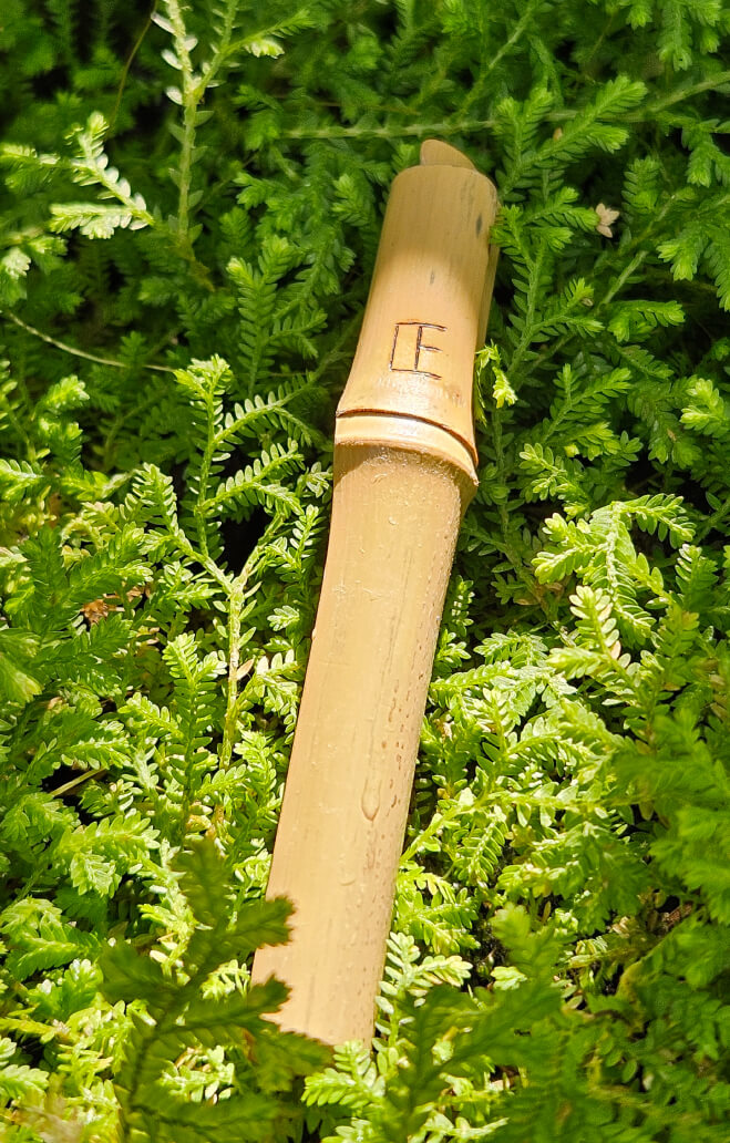 PIA aroma | Personal Diffuser for Essential Oils – PIA Aroma