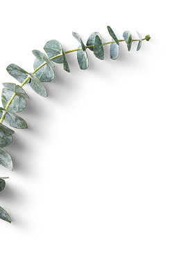 PiaAroma