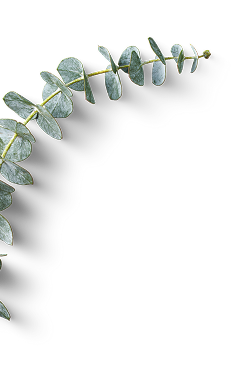 PiaAroma